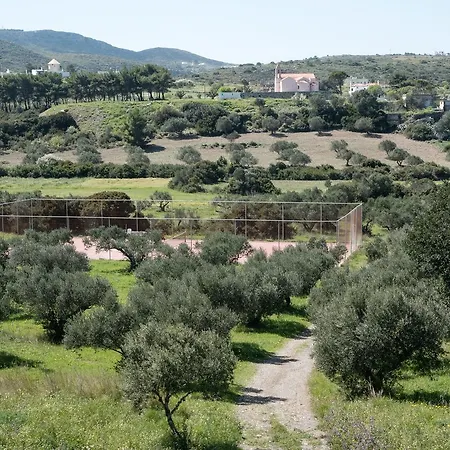 Contaratos Lettings 3* Livádi Kithíron